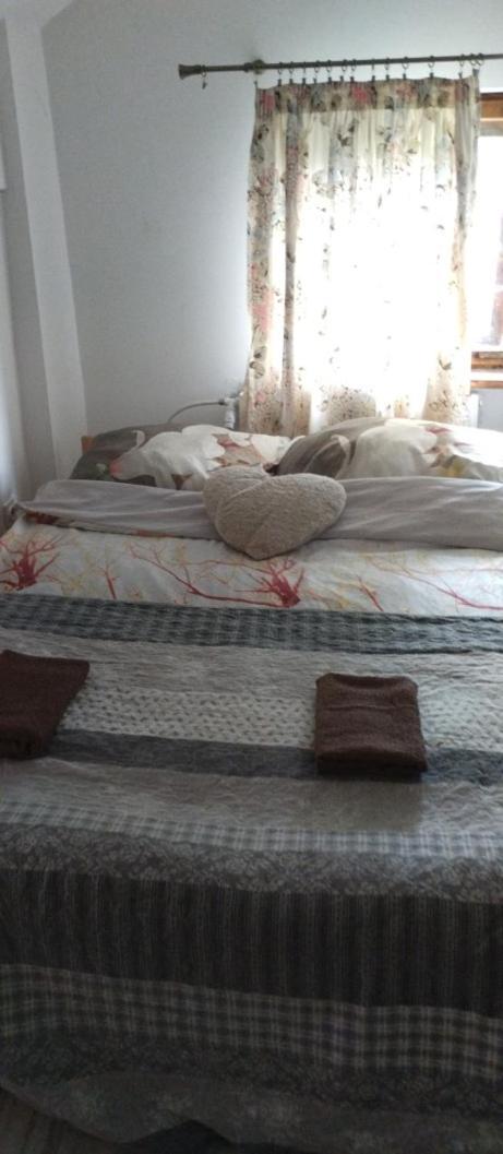Apartament Pod Zamkiem Olsztyn  Extérieur photo